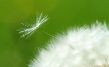 Cảnh tỉnh